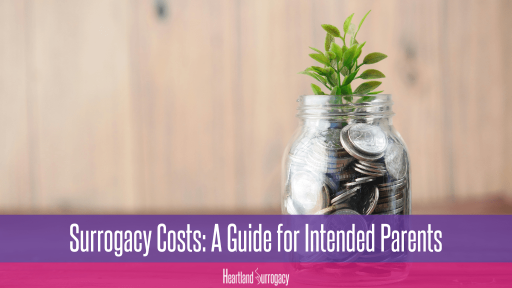 "Surrogacy Costs: A guide for intended parents" and "Heartland Surrogacy" logo; image of jar with coins and plant