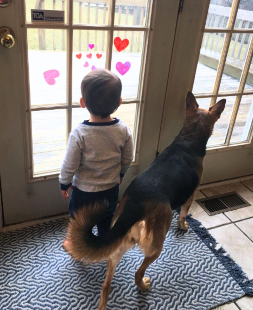 toddler born via surrogacy looking out the window at fresh fallen snow